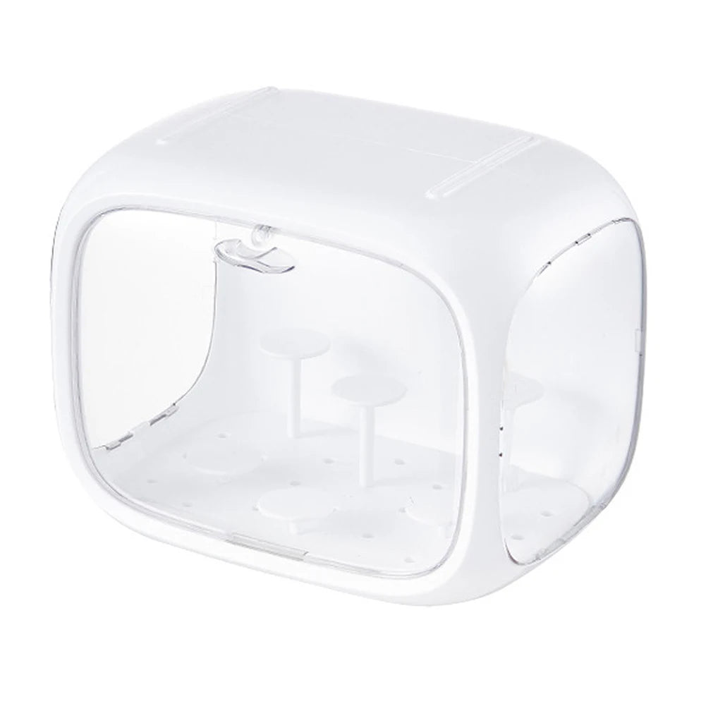Transparent Blind Box Storage