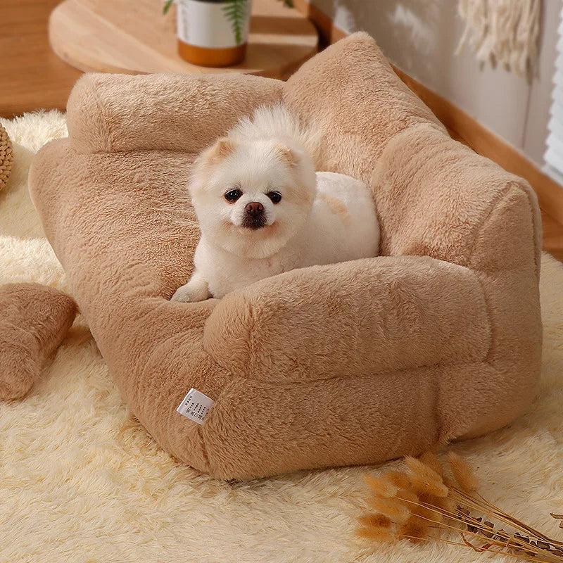 Lazy sofa | Your pet's daily life