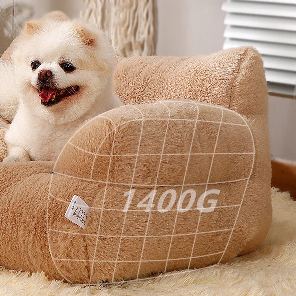 Lazy sofa | Your pet's daily life