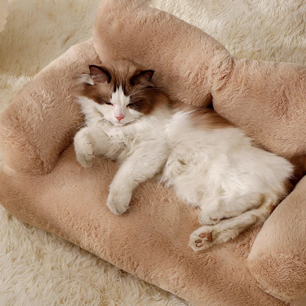 Lazy sofa | Your pet's daily life