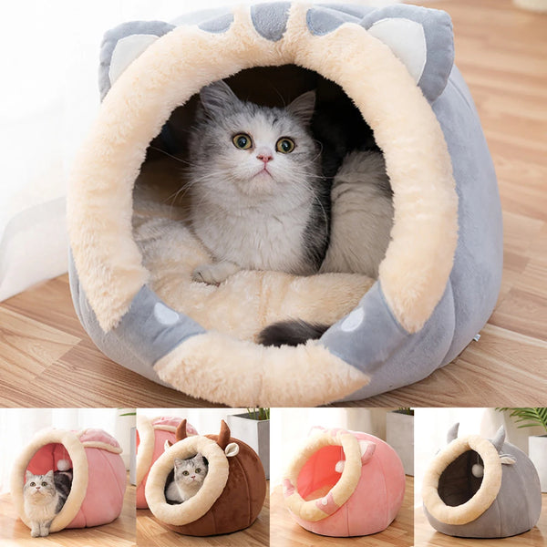 Home sweet home | Your beloved cats and dogs